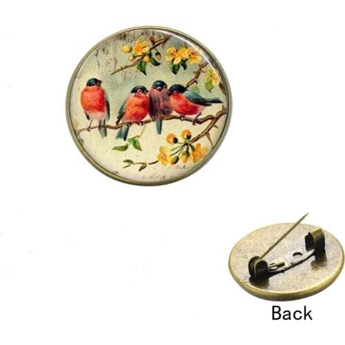 Caxybb Bird Brooches For Clothes