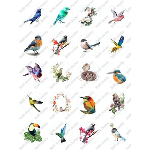 40pcs/lot 10mm 12mm 14mm 16mm Round Birds Pattern Glass Cabochon for DIY Jewelry Making Findings & Components T033