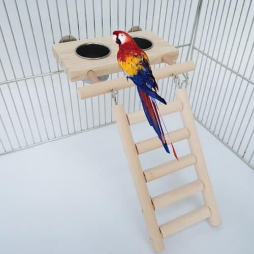 Bird Feeding Bowls Stainless Steel Wood Platform with Ladder Toy for Cockatiel Parrot Parakeet Lovebird Conure Budgie