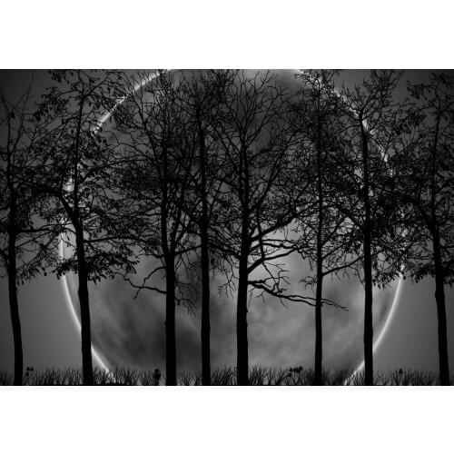 Jmine Div 5D moon tree Full Diamond Painting cross stitch kits art High Quality Plant 3D paint by diamonds