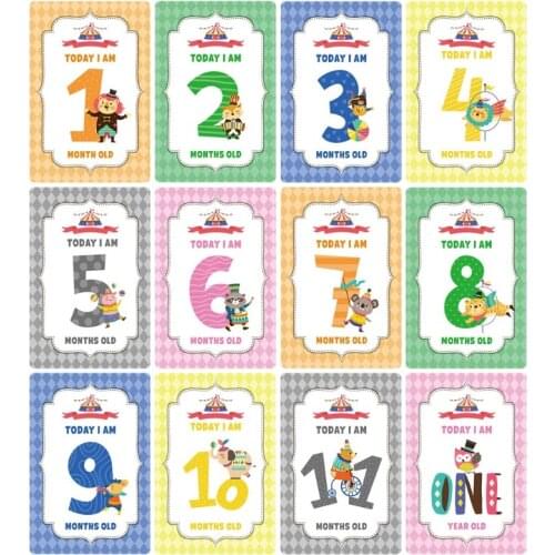 12 Sheet Milestone Photo Sharing Cards Gift Set Baby Age Cards - Baby Milestone Cards, Baby Photo Cards - Newborn Photo