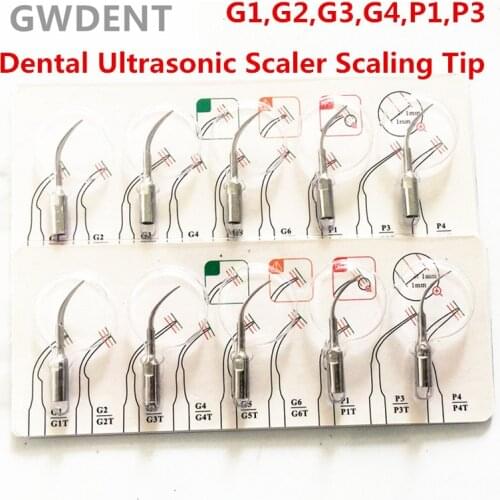 5pcs G1,G2,G3,G4,P1,P3 P4 Dental Scaler Tips Fit EMS Woodpecker Ultrasonic Scaler Handpiece Dental Ultrasonic Scaler Scaling Tip