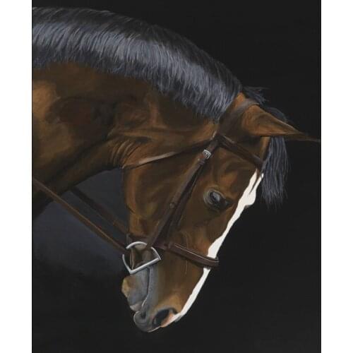 Diamond Embroidery Anmial Cross Stitch DIY Diamond Painting Horse Diamond Mosaic Rhinestones Home Decor