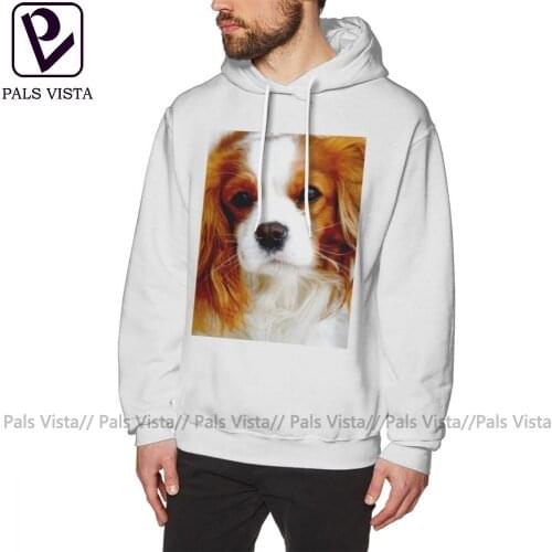Cavalier King Charles Spaniel Hoodie Cavalier King Charles Spaniel Hoodies Mens Stylish Pullover Hoodie Long Sleeve Hoodies