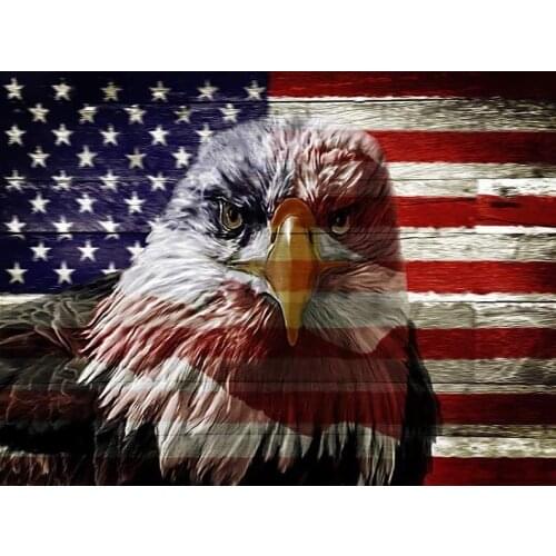 JMINE Div 5D Eagle American Flag Full Diamond Painting cross stitch kits art High Quality Animal 3D paint by diamonds