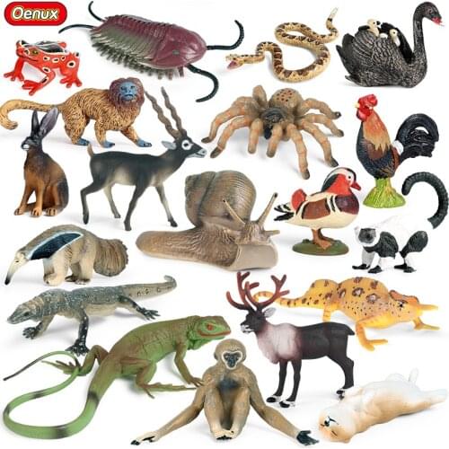 Oenux New Wild Animals Snail Spider Elk Frog Snake Model Action Figure Farm Cat Dog Figurines Miniature Collection Kids Toy