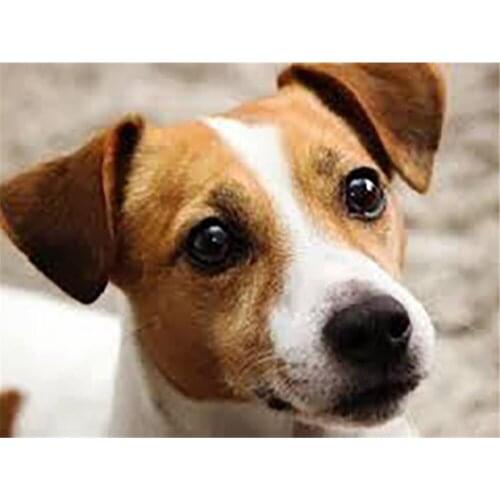 Dog Flower Animal DIY 11CT Embroidery Cross Stitch Kits Craft Needlework Set Cotton Thread Printed Canvas Home Room