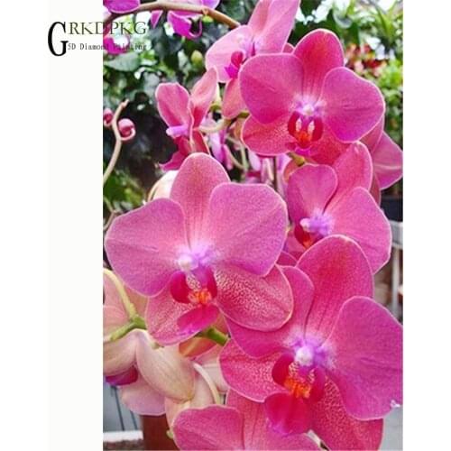 Phalaenopsis red art 5D diy Full Square/Round Diamond Painting Cross Stitch Diamond Embroidery Diamond Mosaic Wedding decoration