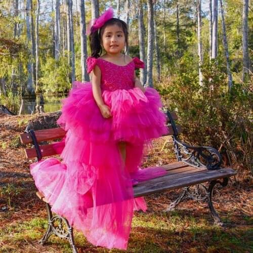 Baby Dress Girls Embroidered Infant Birthday Princess Dress Childrens Puff Dresses 1-12y Girl Vestidos