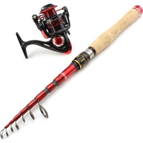 1.6M-2.7M wooden handle Carbon Fishing Rod Telescopic wooden handle Spinning Fishing Rod and Spinning Reels Multifunction set