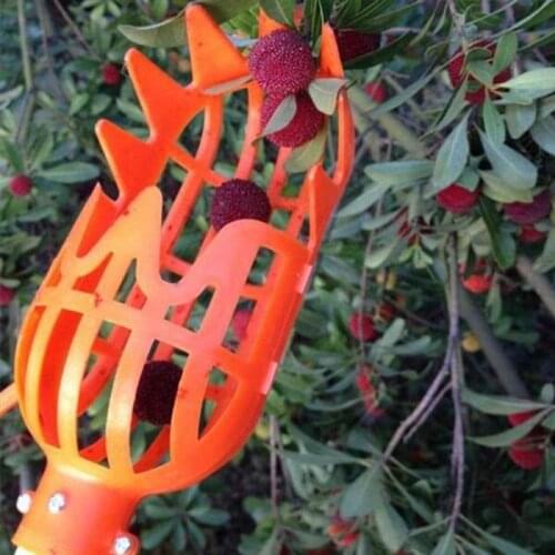 Creativity Onvenient Fruit Picker Gardening Fruits Collection Picking Head Tool Fruit Catcher Device Greenhouse Garden Tools
