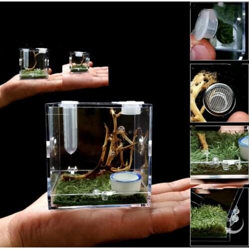 Spider Habitat Feeding Cage Nano Breeding Box for Spiders Grasshopper Cricket