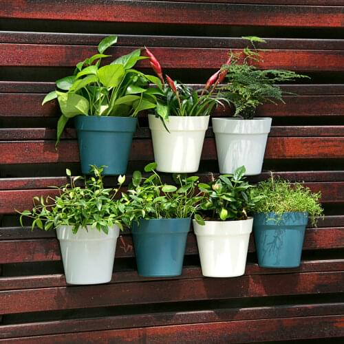 3PCS Wall-Mounted Hydroponic Flower Pot Lazy Green Dill Wall Plastic Hanging Flower Pots Decorative Home Garden Tool