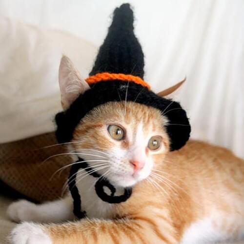 2018 Halloween Party Pet Cat Hat Pet Caps Pumpkin Spider Witch Hat For Animal Pet Costume Decoration Cat Clothes Cap