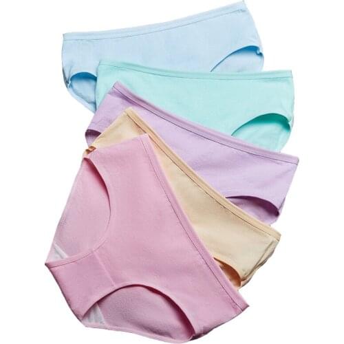 ZJX 5Pieces Women Panties Soft Cotton Breathable Famale Underwear Low-Rise Sexy Girls Lingerie Ladies Solid Seamless Briefs