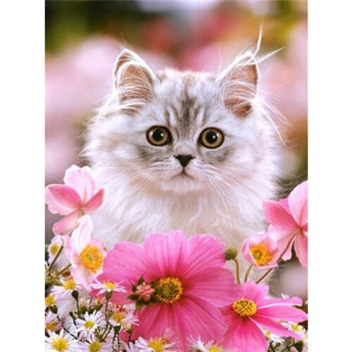 5D DIY Diamond Painting Cross Stitch Kit Square Circle Diamond Embroidery Mosaic Cute Kitten Figure Home Decoration Gift WG2243