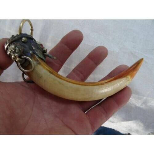 Lion a package boar tooth enamel antique town house to ward off bad luck AAAAAAAA Free shipping