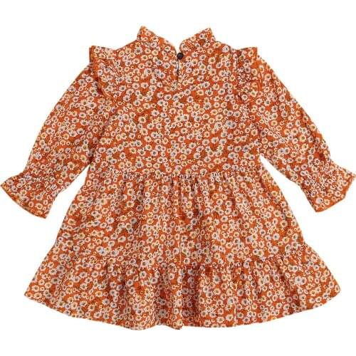 2021 Little Kids Baby Girls Floral Print Dress, Cute Long Sleeve Ruffle Collar Loose A-Line Dress 2-7Y