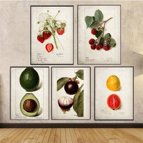 Strawberry Mangosteen Lychee Avocado Canvas Painting Wall Art Nordic Posters and Prints Wall Pictures for Living Room Decoration