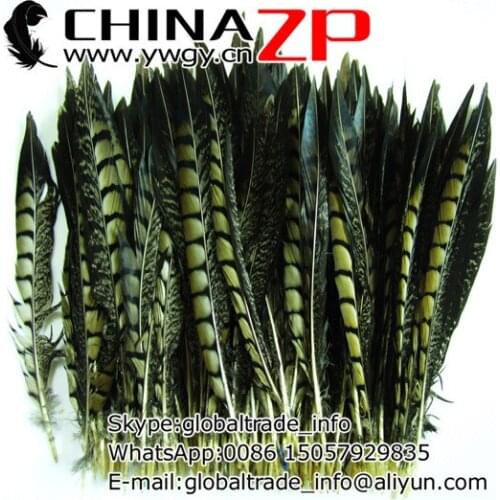 Made in CHINAZP Factory Size 30-35cm 200pcs/lot Selected Prime Quality Dyed Lime Green Lady Amherst Pheasant Tail Feathers