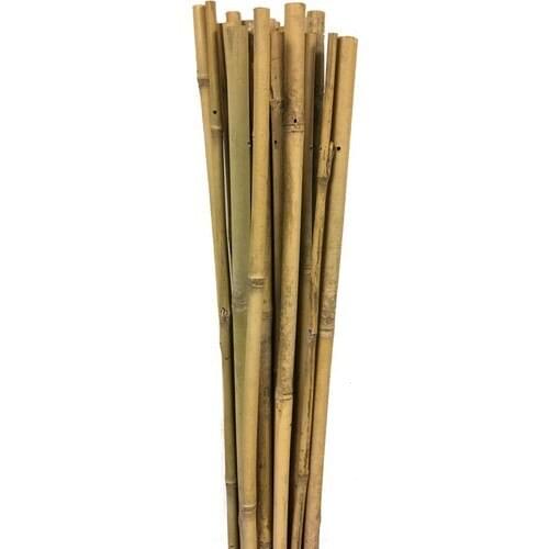 Gardener 63713 Bamboo Support Bar 10'lu 10-12mm X 120 cm