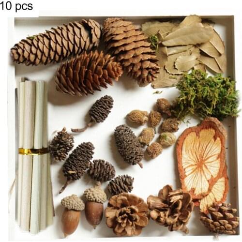 2021 Pinecones Set Rustic Solid DIY Natural Wood Slices Decor for Home Birthday Party Baby Girls Boys Newborn Photography Props