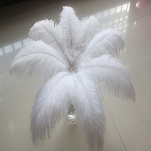 Wholesale 10pcs White Natural Ostrich Feathers 25-30cm/10-12 inch Wedding Party Christmas Home Craft Accessories Decoration