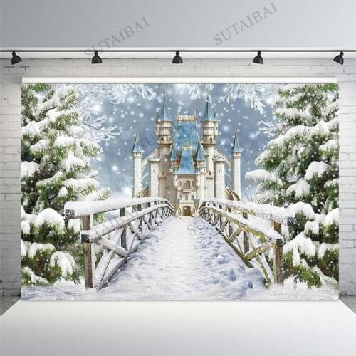 Frozen Backdrop Photography Dream Castle Winter Christmas Snow Tree Woodland Child Portrait Photo Background Photographic Studio