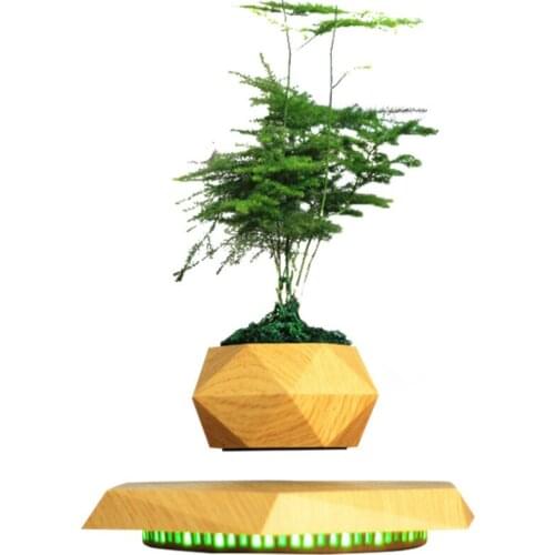 Magnetic Suspension Flower Pot Desktop Gift Simple Modern Office Desk Surface Panel Decoration Girl Valentines Day BirthdayGift