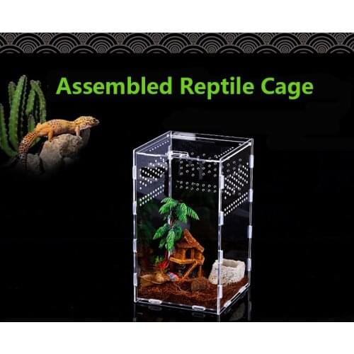 Acrylic Reptile Spider Lizard Scorpion Centipede Horned Frog Gecko Beetle Chameleon Insect Breeding Box