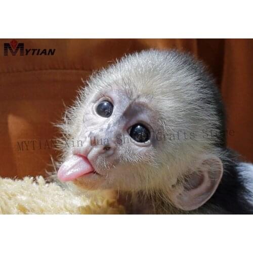 MYTIAN DIY Full Round Diamond Embroidery Animal Set Home Decoration Monkey Baby Diamond Painting Cross Stitch Mosaic Painting