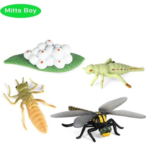 4Pcs Simulation Animal Model Child Mini Animal insect Dragonfly Bee Snails Growth Cycle PVC Action Figures Doll toy for Kid Gift