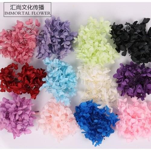 2g eternal flower material package wood hydrangea dried flower children diy party small petal hand account flower decoration