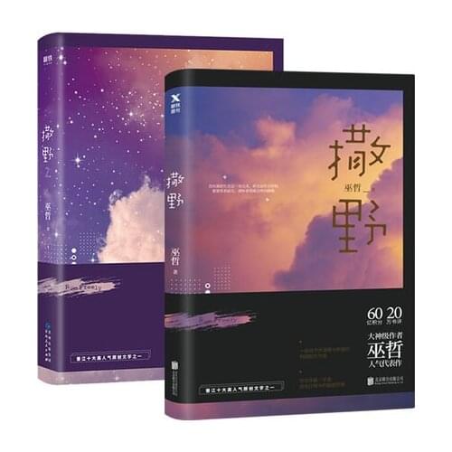 2 Books SA YE Youth Novels Books Wuzhe Novels Campus Love Books