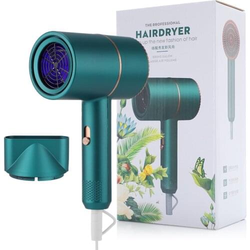 Negative Ion Hair Dryer 800W Blue Light Electric Hairdryer Three-speed Cold and Hot Hair Dryer for Home Travel Hair Care Tool