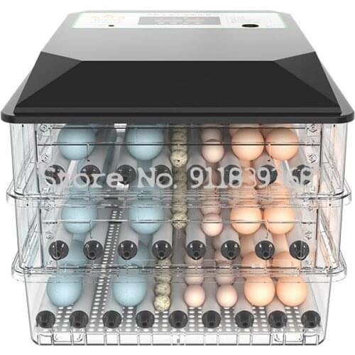 Incubator Small Home Automatic Intelligent Breeding Incubator Chicken Duck Goose Bird Incubator Pigeon Incubator