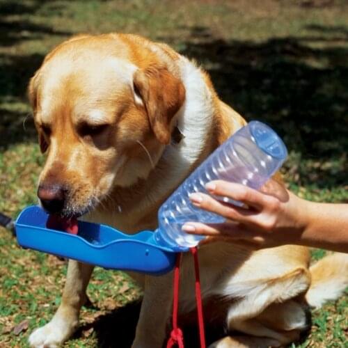 1PC 250ml Dog Water Bottle Foldable Plastic Outdoor Travel Handheld Pet Drinking Water Bowl