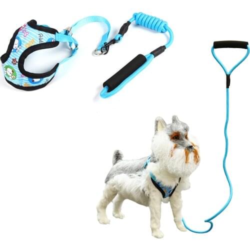 Pet Dog Cat Leash Dog Harness Vest Comfortable Padded Handle 1.2M Leash with Mesh Harness Vest for Small Medium Dog