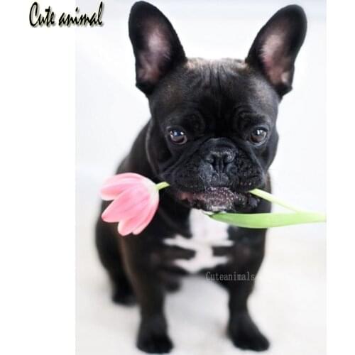 5D Diamond Painting French bulldog flower Full Square round drill Diamond Mosaic Cross Stitch kit pet dog Diamond Embroidery