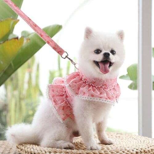 Dog Clothes Pet Puppy Cute Harness and Leash Suit Cat Dress Collars Dogs Accessoires Lace Chihuahua Teddy Pets Supplies
