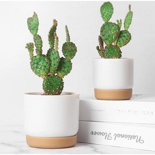 Succulent Plant Pot Double-layer Succulent Green Dill Small Green Plant Flower pot