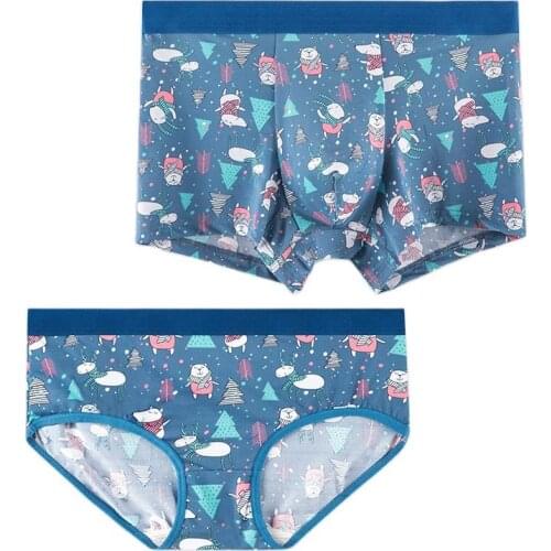 Little Dinosaur Pattern Cotton Women Male Underwear Couples Underpants Fashion Breathable Mens Cueca Calzoncillos Boxers Panties