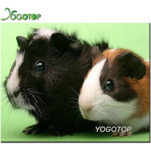 Diy diamond Embroidery 5D Full Diamond Painting,mosaic Rhinestones painting cute pet animals,3d Cross-Stitch chinchilla YY2346