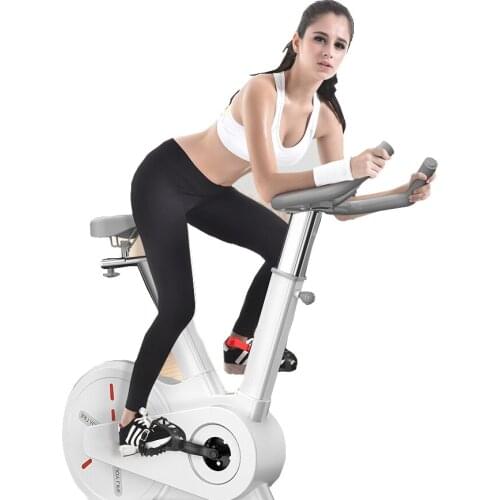 Household Magnetic Control Exercise Bicycle Commercial Mute Room Weight Loss Equipment