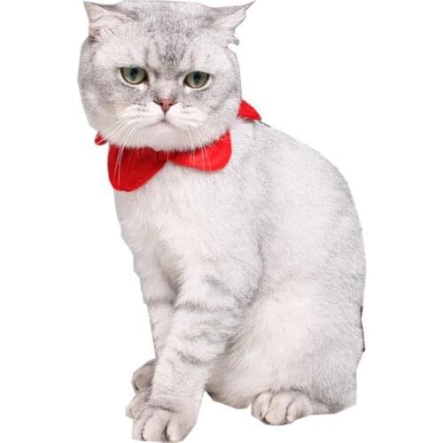 Legendog Cat Collar Elastic Star Shape Puppy Neck Cone Pet Party Collar For Christmas Pet Costume Puppy Bandana Pet Accessories