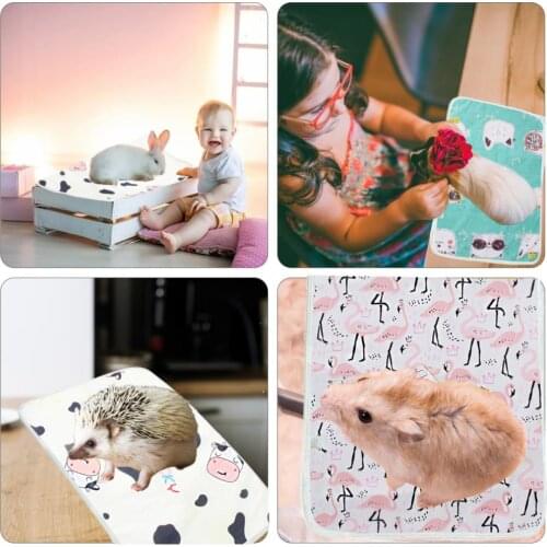 JETTING Diapers And Pampers For Animals