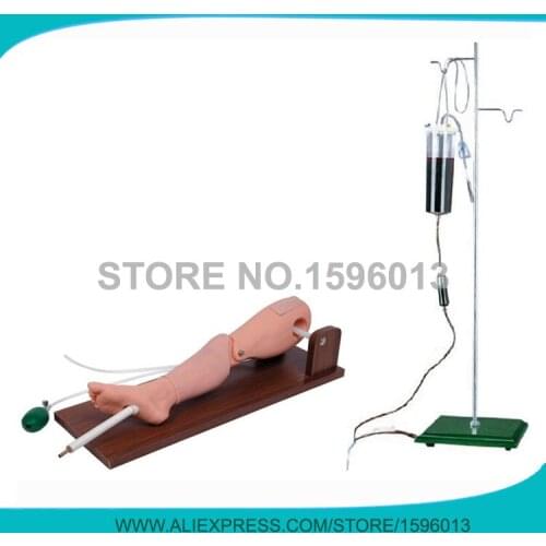 Advanced bone marrow puncture and femoral venipuncture simulator,Bone Marrow Puncture Simulator model