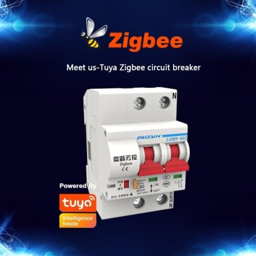 Tuya Zigbee 1-4P Smart Circuit Breaker Remote Control No Distance Limit Compatible Alexa Echo Google Assistant For Smart Home
