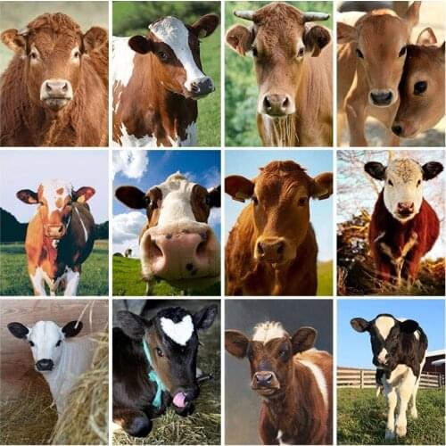 PDMDOG DIY Cow 5D Diamond Painting Full Square Drill Animal Diamond Embroidery Cross Stitch Mosaic Kits Wall Art Home Decor