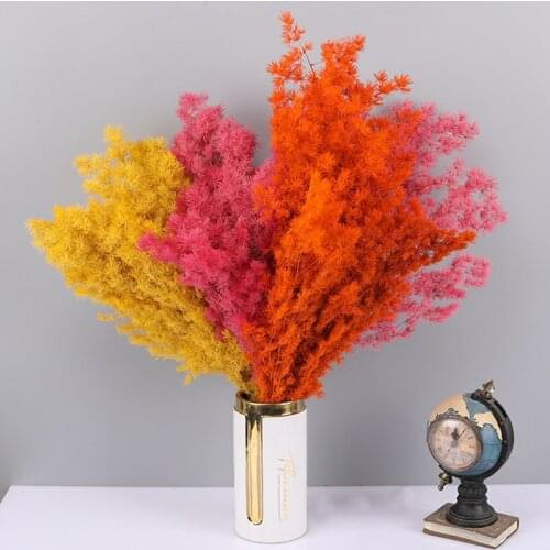 Preserved Fresh Plant Real Nature boho decor Home Party Penglai Pine DIY Flower Wedding Eternelle Flower Photography Props